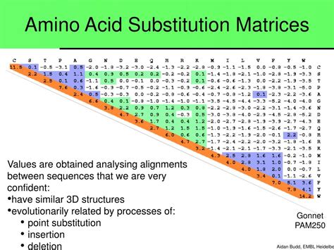 Ppt Pairwise Alignments And Sequence Similarity Based Searching