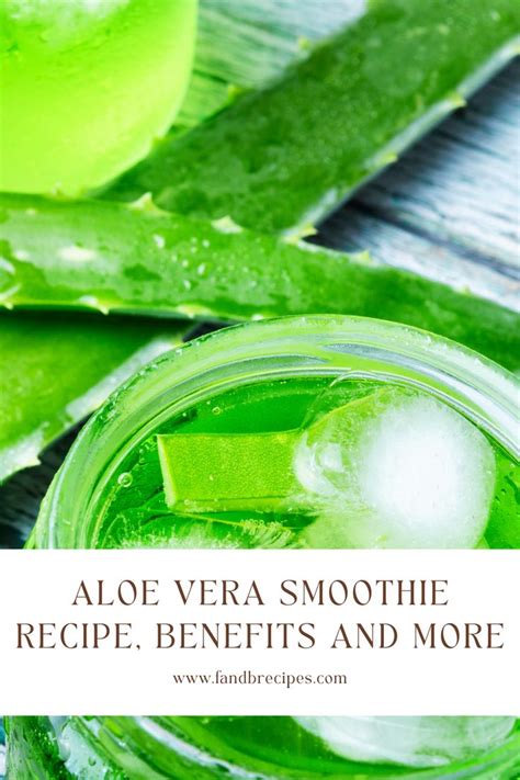 Aloe Vera Smoothie Recipe Benefits And More F And B Recipes Recipe