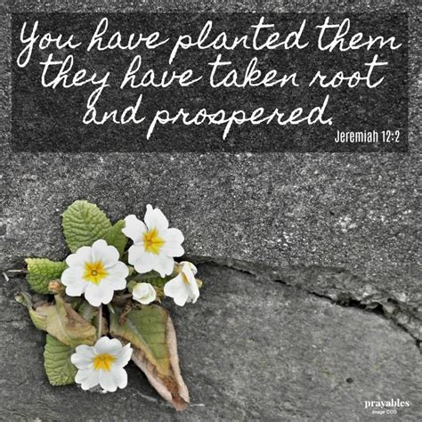 Bible Jeremiah 122 Prayables