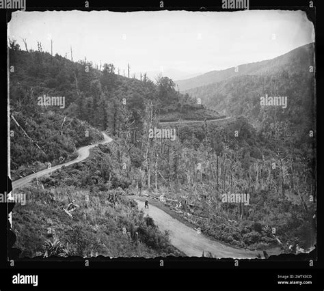 Bushy Bend Red Clay Point Remutaka Rimutaka Hill Looking Down