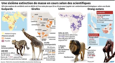 L Extinction De Masse Des Animaux S Acc L Re La Croix