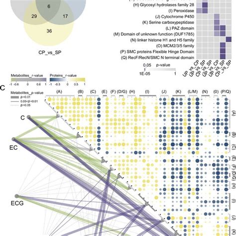 Analysis Of Differentially Abundant Proteins Daps And Their Correlation Download Scientific