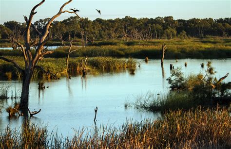 Explore The Evidence Ramsar Wetlands Living Wonders