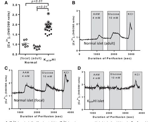 Figure From Functional And Metabolomic Consequences Of Katp Channel