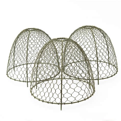 Buy Large Wire Cloches Crocus Green Set Of 3