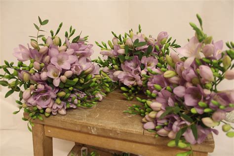 Freesia wedding bouquets for brides maids. | Freesia wedding bouquet, Wedding flowers, Flower ...