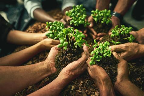 Agricultura ecológica en la cooperación internacional al desarrollo