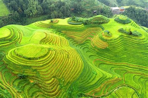 Longji Rice Terraces Tours By Tour Experts Wendy Wei Tours