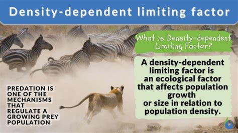 Density Dependent Vs Density Independent Venn Diagram Which