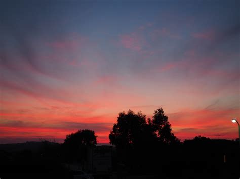 Fotos Gratis Puesta De Sol Cielo Carmes Rbol Ligero Resplandor