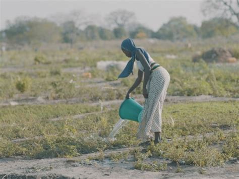 Gardens For 400 Families In The Gambia Launchgood Launchgood