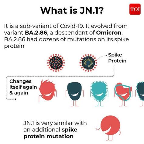 Unraveling the Mysteries of the Latest JN1 COVID Variant: Insights from ...