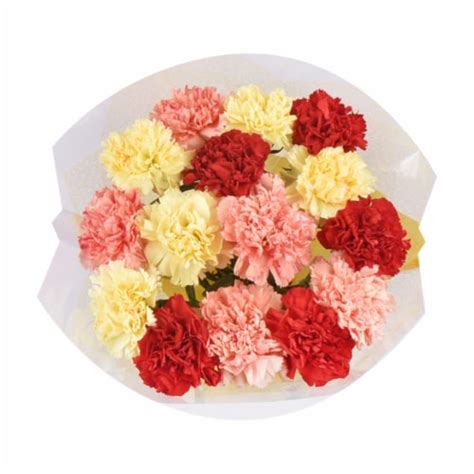 Rainbow Carnations Bouquet, 1 ct - Kroger