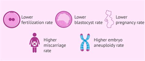 How Does A Mans Age Influence Fertility And Pregnancy