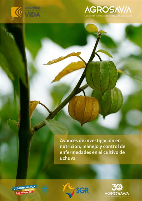 Pdf Avances De Investigaci N En Nutrici N Manejo Y Control De