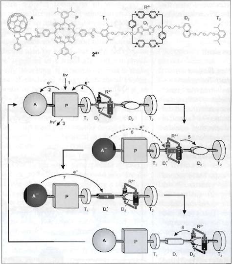 Structure Formula Of Rotaxane And Schematic Represenlation Of Ils