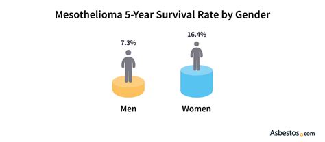 Mesothelioma Statistics Incidence Key Facts Trends