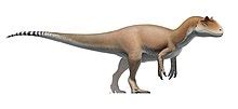 allosaurus - Wiktionary, the free dictionary