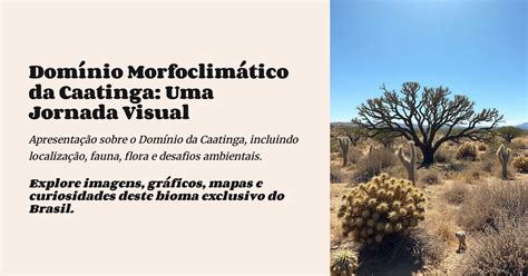 Dominio Morfoclimatico Da Caatinga - 7