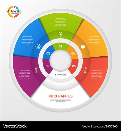 Circle Infographic Template 5 Options Royalty Free Vector