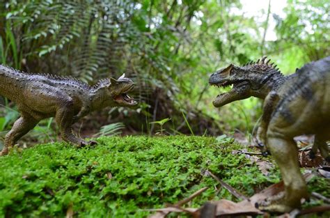 Carnotaurus VS Allosaurus by X-Alex Jurassic Park Poster, Jurassic Park Toys, Jurassic World ...