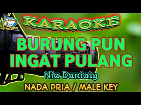 BURUNG PUN INGAT PULANG KARAOKE NADA PRIA Nia Daniaty YouTube