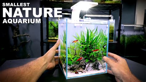 Aquascape Tutorial Tiny Gal Nature Aquarium How To Step By Step