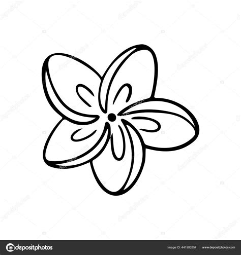 Plumeria Flower Outline Frangipani Line Art Vector Illustration