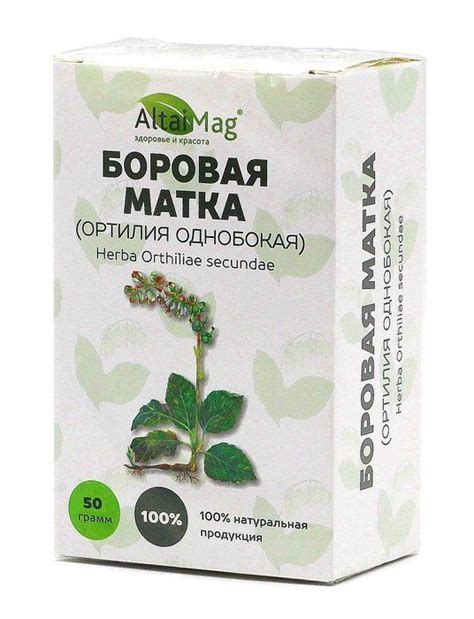 Купить Боровая матка (ортилия однобокая) Алтаймаг недорого в Москве