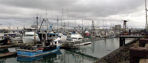 Grays Harbor Beaches Blog