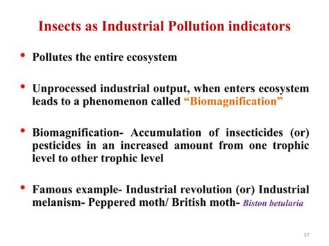 Insects As Pollution Indicators