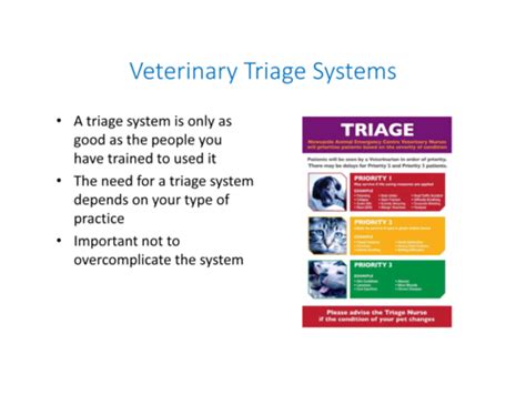 Emergency Triage And Physical Exam Shock Flashcards Quizlet