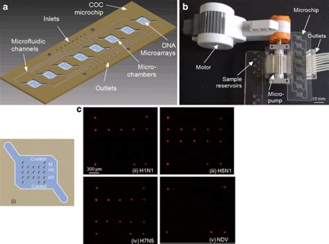 A Schematic Diagram Of The Eight Chamber Microfluidic Biochip