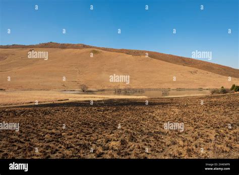 Mount Currie Nature Reserve Hi Res Stock Photography And Images Alamy