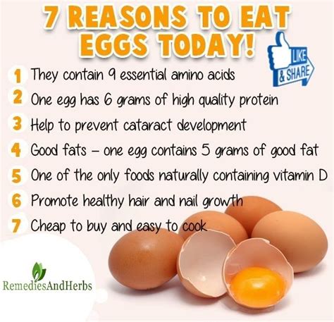 Benefits Of Eggs Health Benefits Of Eggs Egg Benefits Fruit Health Benefits