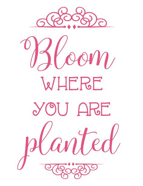 Bloom Where Youre Planted Garden Quotes Garden Signs Pretty Prints