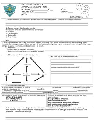 Avaliaçao ciencais cadeia alimentar PDF