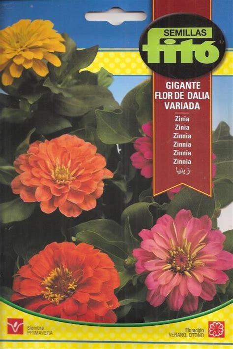 ZINNIA GIGANTE FLOR DE DALIA VARIADA 4 Gr Fitoagricola