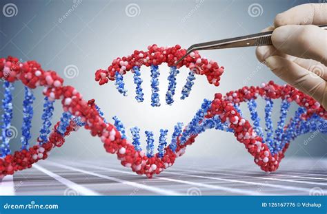 Ingegneria Genetica GMO E Concetto Di Manipolazione Del Gene La Mano