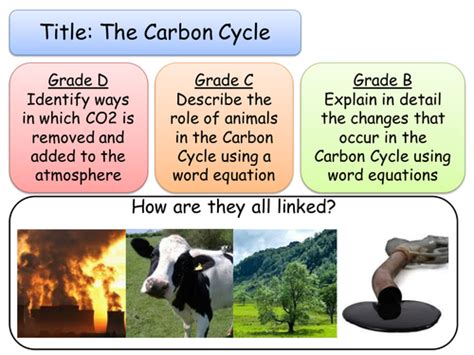 The Carbon Cycle Teaching Resources