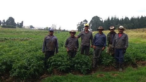 Agricultura Orgánica En Colombia Colombia Verde