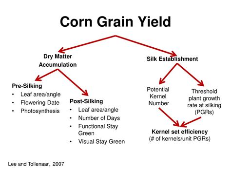 Ppt Physiology Crops Yield Powerpoint Presentation Free Download