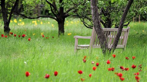 Nach Sex im Park landet Frau 30 im Gefängnis B Z Stimme Berlins