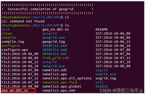 WRF模型运行教程ububtu系统 III 运行WRF模型官网案例 wrf 实例 CSDN博客