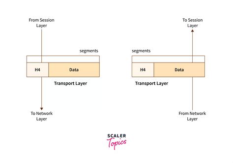 Tcp Transmission Control Protocol Explained Hot Sex Picture