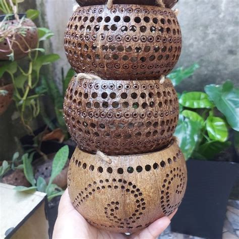 Coconut Plant Pot Etsy