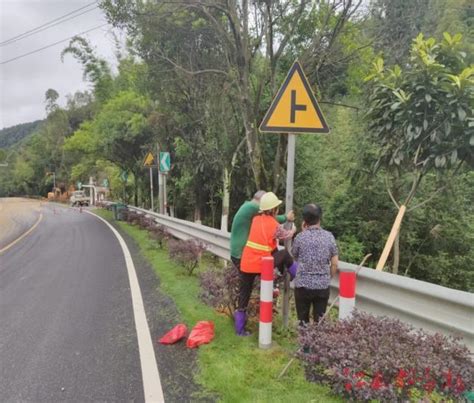 崇义公路分中心：清理遮挡标牌树枝，“剪”除安全隐患 江南都市网