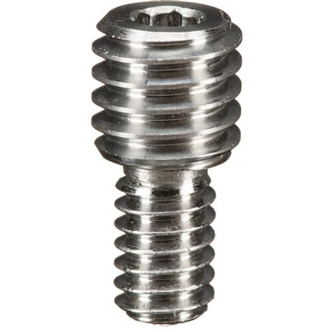 kirk double male stud ds  bh photo video