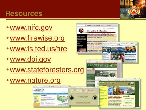 Ppt Wildland Fire A Natural Process Powerpoint Presentation Free