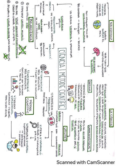 Esquema Resum BLOC 1 Sofía Biología Humana y Salud Studocu